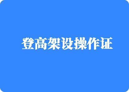 女人爱操逼大鸡吧软妹视频登高架设操作证